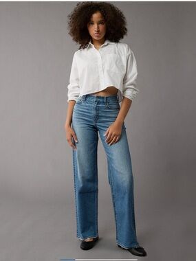 AE Curvy Hi Rise Relaxed Straight Jean 4 Long